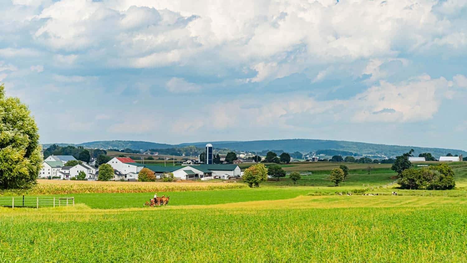 A rural landscape in Lancaster County, with green fields, scattered trees, farm buildings, and silos under a partly cloudy sky.